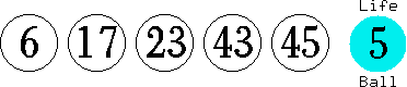 06 17 23 43 45 (05)